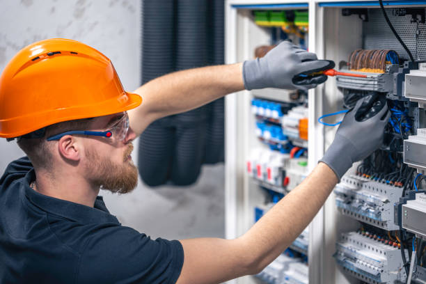 Best Electric Panel Repair  in Pleasanton, TX
